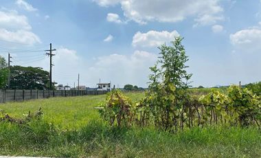 Agricultural Lot 10,966 sqm in San Rafael Mexico, Pampanga for Sale