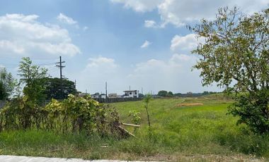 Agricultural Lot 10,966 sqm in San Rafael Mexico, Pampanga for Sale