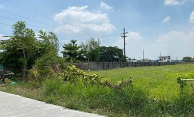 Agricultural Lot 10,966 sqm in San Rafael Mexico, Pampanga for Sale