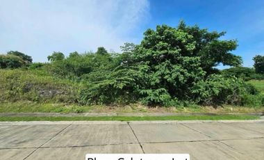 Rest House in Cavite + 2 Residential Lots in Tagaytay and Calatagan