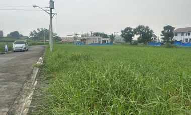 Resale Residential Lot at Grand Tierra Capas Tarlac near New Clark Green City