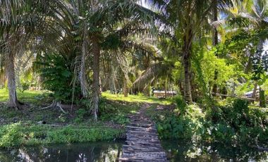 1HA Agri-tourism Farm Lot with bundant flowing fresh water at Balingasag