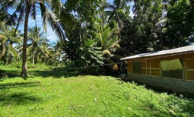 1HA Agri-tourism Farm Lot with bundant flowing fresh water at Balingasag