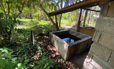 1HA Agri-tourism Farm Lot with bundant flowing fresh water at Balingasag