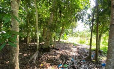 1HA Agri-tourism Farm Lot with bundant flowing fresh water at Balingasag