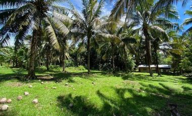 1HA Agri-tourism Farm Lot with bundant flowing fresh water at Balingasag