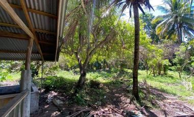 1HA Agri-tourism Farm Lot with bundant flowing fresh water at Balingasag