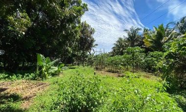 1HA Agri-tourism Farm Lot with bundant flowing fresh water at Balingasag