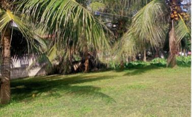 3-Bedroom House and Lot for Sale in Dumaguete, Negros Oriental