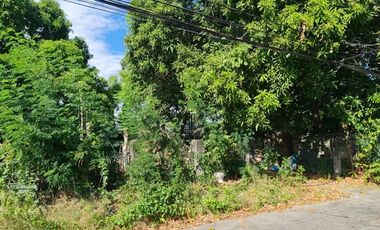 FOR SALE: Vacant Residential Lot in BF Northwest, Paranaque City Metro Manila