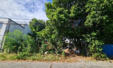 FOR SALE: Vacant Residential Lot in BF Northwest, Paranaque City Metro Manila