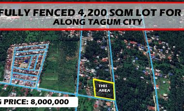 A Fully Fenced 4,200 sqm Lot for Sale Along Tagum City, Davao del Norte