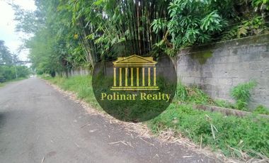 A Fully Fenced 4,200 sqm Lot for Sale Along Tagum City, Davao del Norte