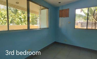 Nice house along MINTAL Davao National Highway for sale