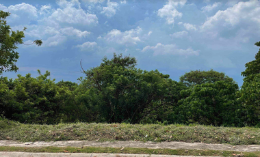 510 sqm Vacant lot in Ayala Westgrove Heights, Cavite