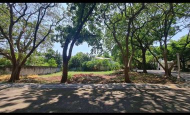 Hillsborough Alabang lot for sale 731 sqm corner lot near Ayala Alabang Village