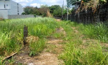Residential Lot 500 sqm in Brgy. Malino Panipuan, City of San Fernando Pampanga