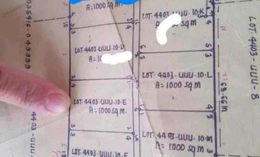 Residential Lot 500 sqm in Brgy. Malino Panipuan, City of San Fernando Pampanga