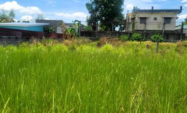 Residential Lot 500 sqm in Brgy. Malino Panipuan, City of San Fernando Pampanga