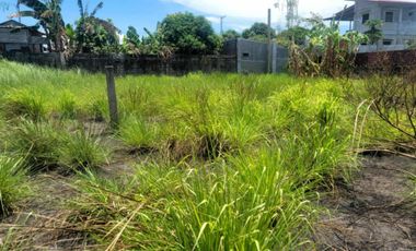 Residential Lot 500 sqm in Brgy. Malino Panipuan, City of San Fernando Pampanga
