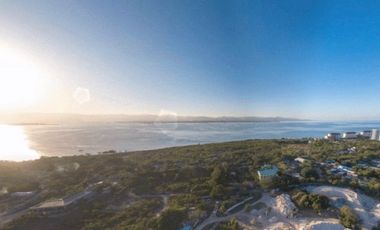 1 Bedroom Beachfront Development at Aruga Resort and Residences Cebu Philippines