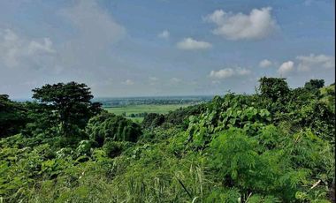 500pesos/sqm Lot in Arayat Pampanga