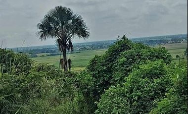 500pesos/sqm Lot in Arayat Pampanga