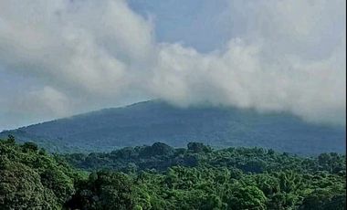 500pesos/sqm Lot in Arayat Pampanga