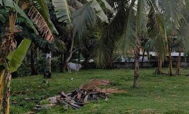 1,376 sqm Lot for Sale in Dumaguete City, Negros Oriental