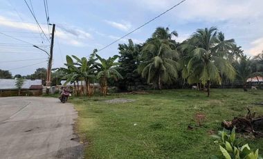 1,376 sqm Lot for Sale in Dumaguete City, Negros Oriental