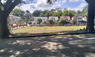 Residential Plot for sale in Cavite, Dasmariñas