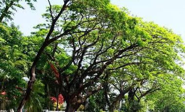 Residential Lot for sale