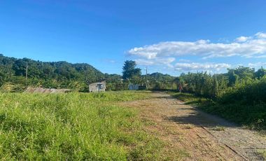 PILILLA FARM LOT FOR SALE - Antipolo Heigghts