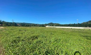 PILILLA FARM LOT FOR SALE - Antipolo Heigghts