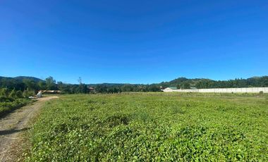 PILILLA FARM LOT FOR SALE - Antipolo Heigghts