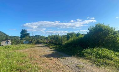 PILILLA FARM LOT FOR SALE - Antipolo Heigghts