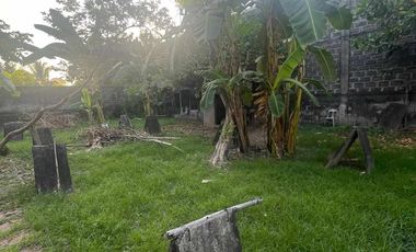 Gated Residential Lot 556 sqm in Dolores Mabalacat City, Pampanga for Sale