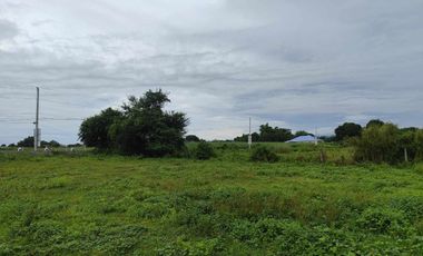 Residential Lot 1,239 sqm, clean title in Brgy. Sinipit Manibaug Porac, Pampanga