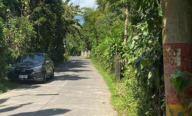 Lot For Sale San Pablo Laguna - Dolores Quezon Boundary