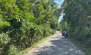 Lot For Sale San Pablo Laguna - Dolores Quezon Boundary