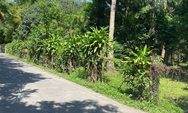 Lot For Sale San Pablo Laguna - Dolores Quezon Boundary