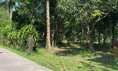 Lot For Sale San Pablo Laguna - Dolores Quezon Boundary