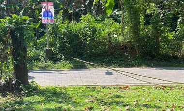 Lot For Sale San Pablo Laguna - Dolores Quezon Boundary