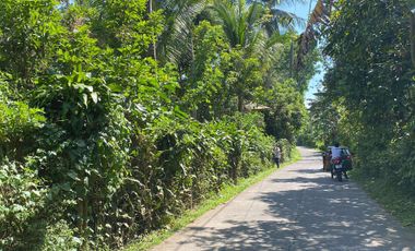 Lot For Sale San Pablo Laguna - Dolores Quezon Boundary