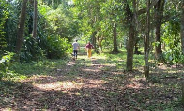 Lot For Sale San Pablo Laguna - Dolores Quezon Boundary