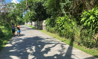 Lot For Sale San Pablo Laguna - Dolores Quezon Boundary