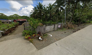 10,203 sq.m. Industrial Lot For Sale, Along Tagum City, Davao del Norte