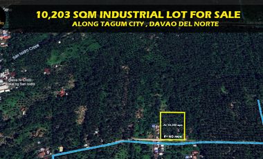 10,203 sq.m. Industrial Lot For Sale, Along Tagum City, Davao del Norte