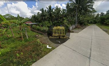 10,203 sq.m. Industrial Lot For Sale, Along Tagum City, Davao del Norte