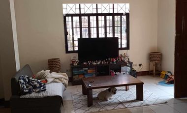 newly renovated house pias camp 7!